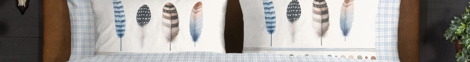 Housse de couette plumes