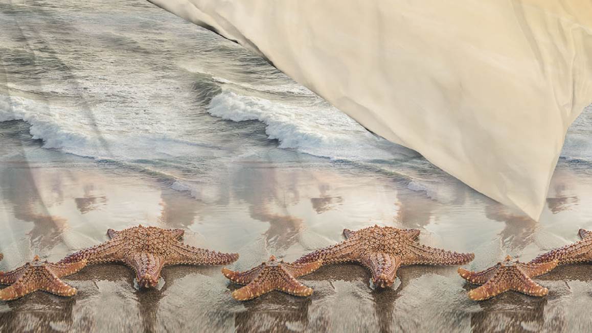 Zohome Arnau housse de couette