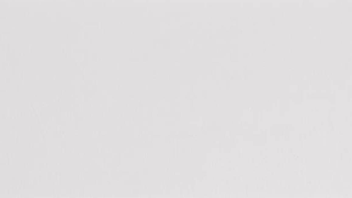 Ambiante Cotton Uni taies d’oreiller coton 57 fils (lot de 2)