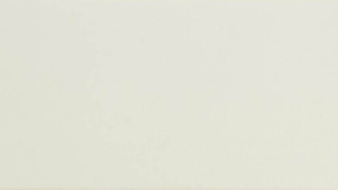 Ambiante Cotton Uni taies d’oreiller coton 57 fils (lot de 2)