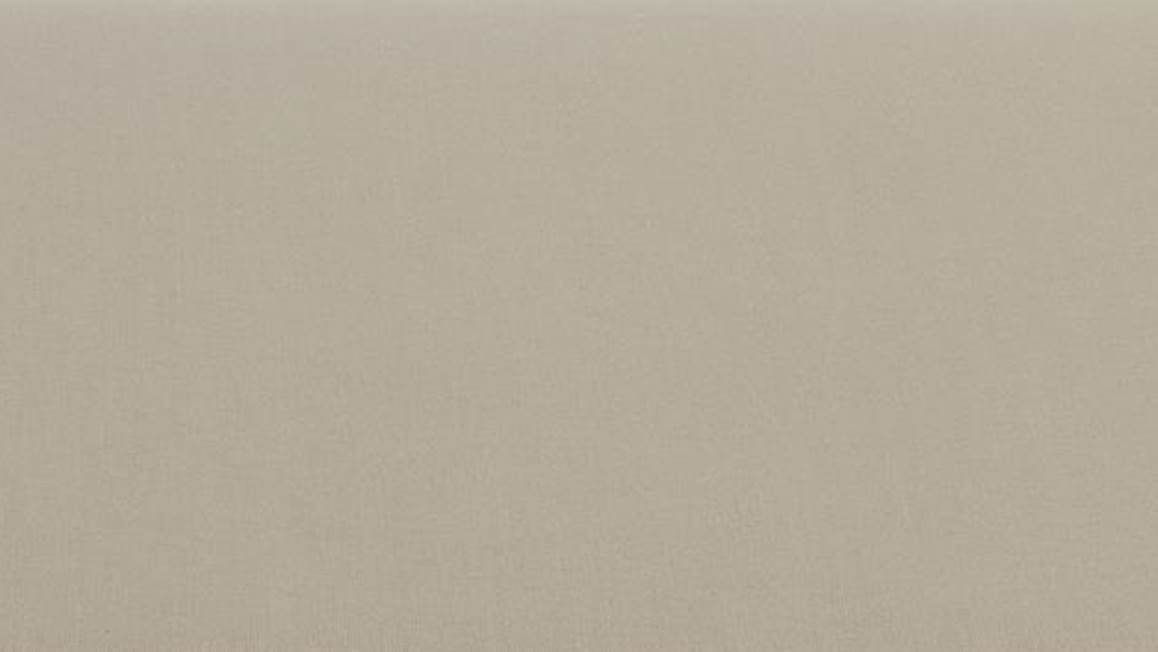 Ambiante Cotton Uni taies d’oreiller coton 57 fils (lot de 2)
