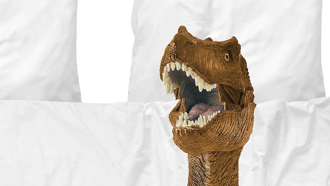 SNURK Dino Brown housse de couette