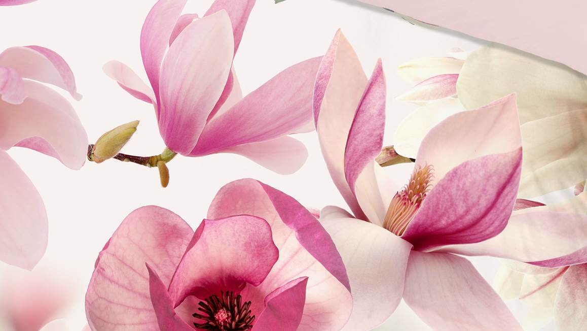 Good Morning Magnolias housse de couette