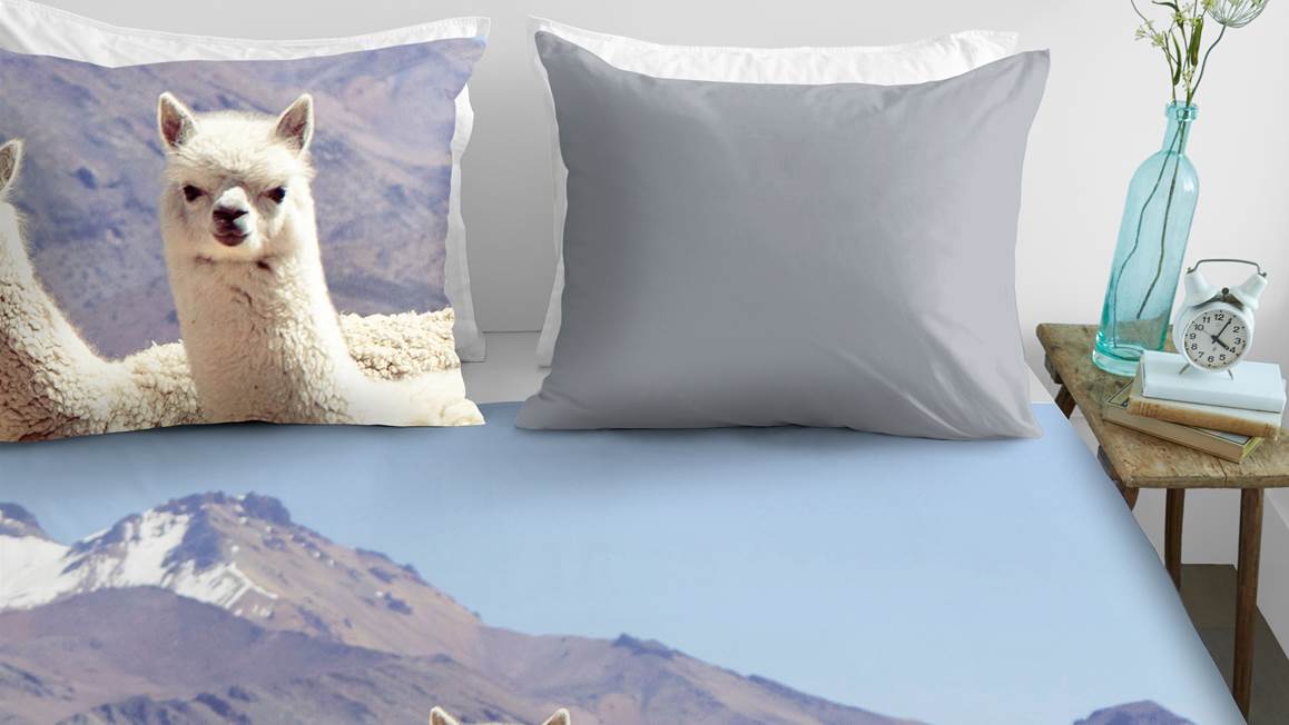 Ambiante Cusco housse de couette en flanelle