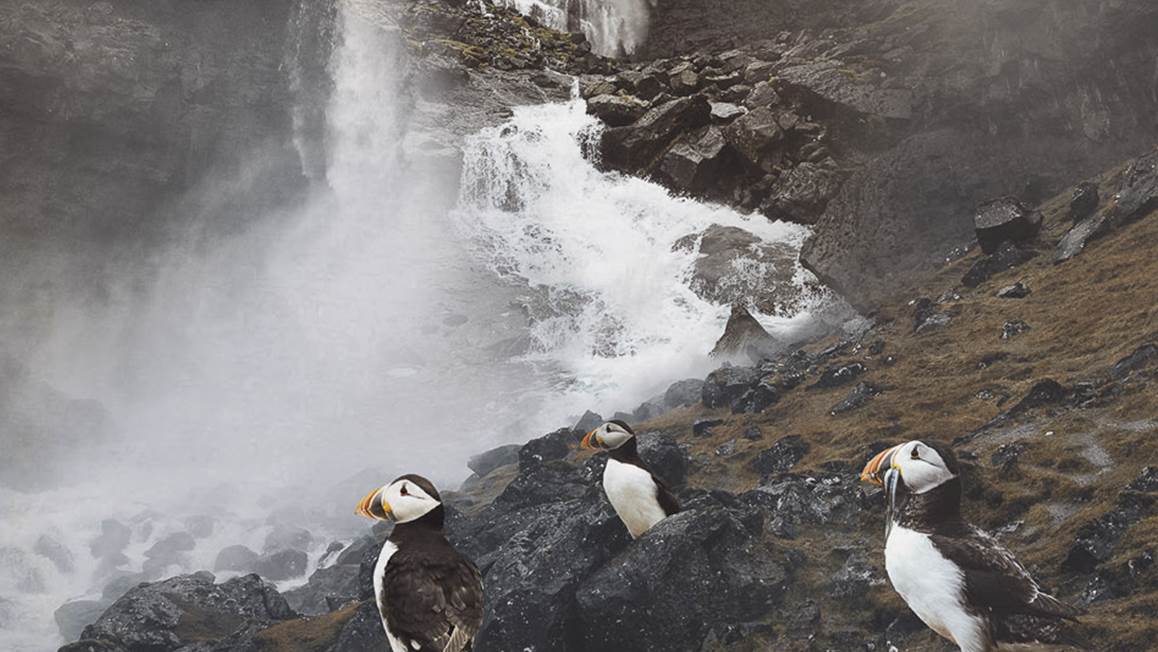 Heckettlane Laurine housse de couette