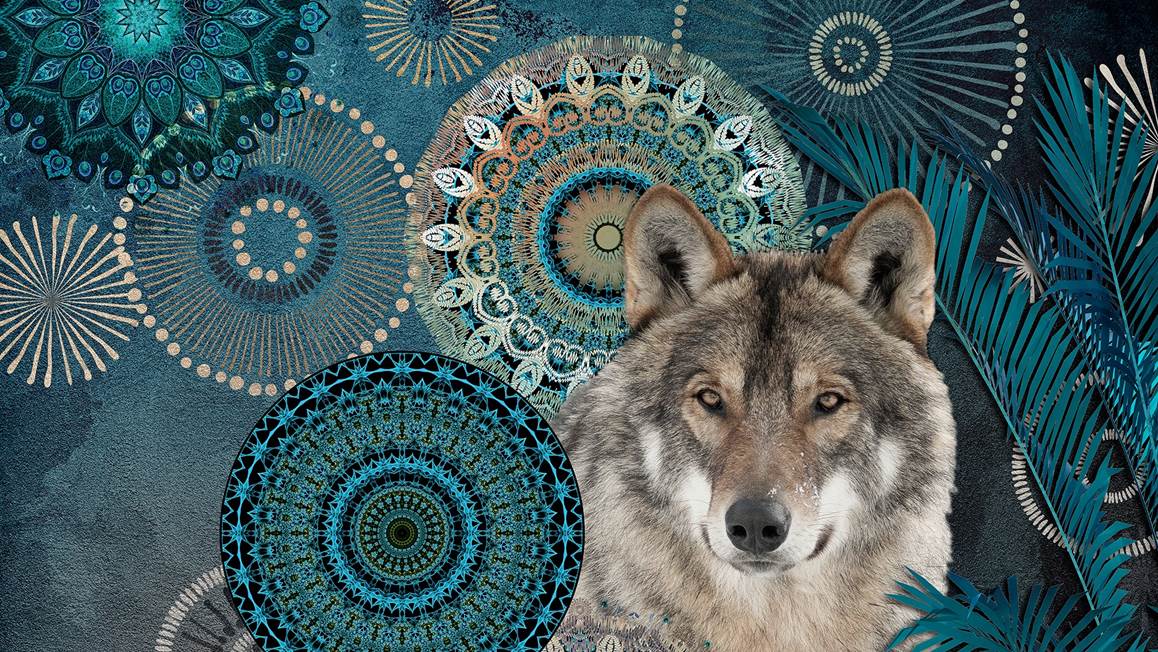 HIP Collection Kiska housse de couette en flanelle