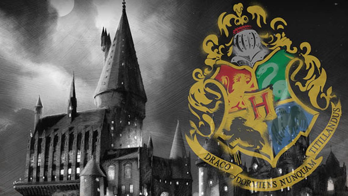 HARRY POTTER Harry Potter - Housse de Couette Enfant Chouette