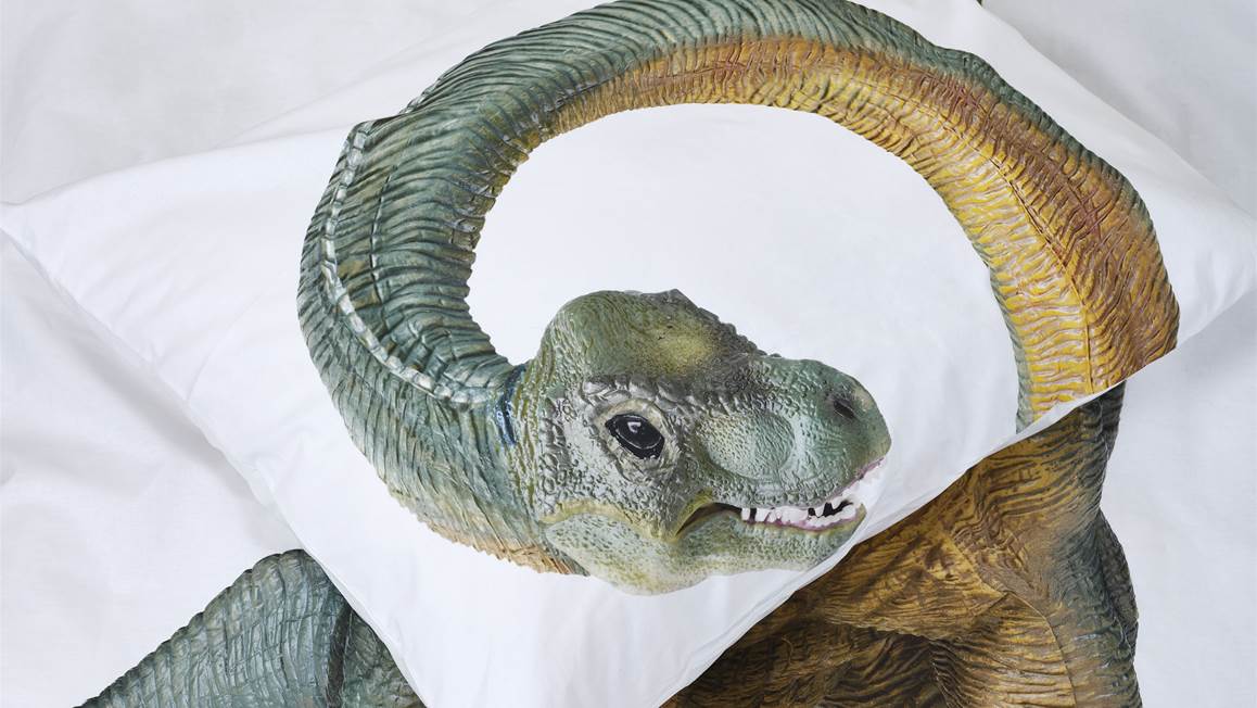 SNURK Dino Bronto housse de couette