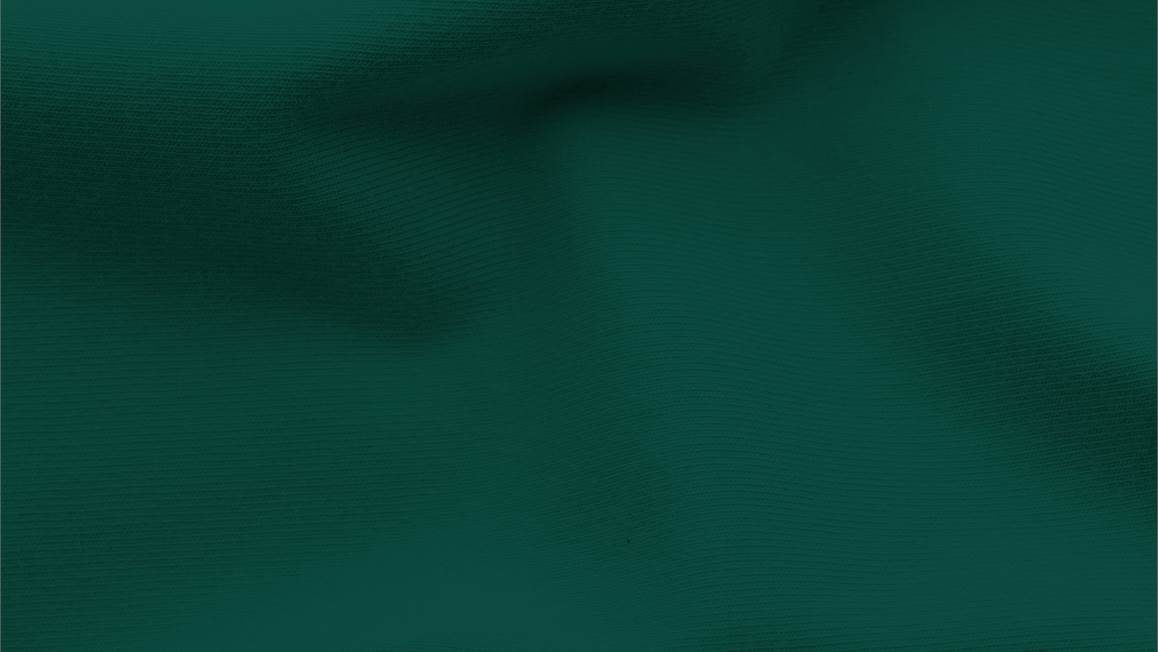 Schlafgut Jersey Pure drap-housse jersey