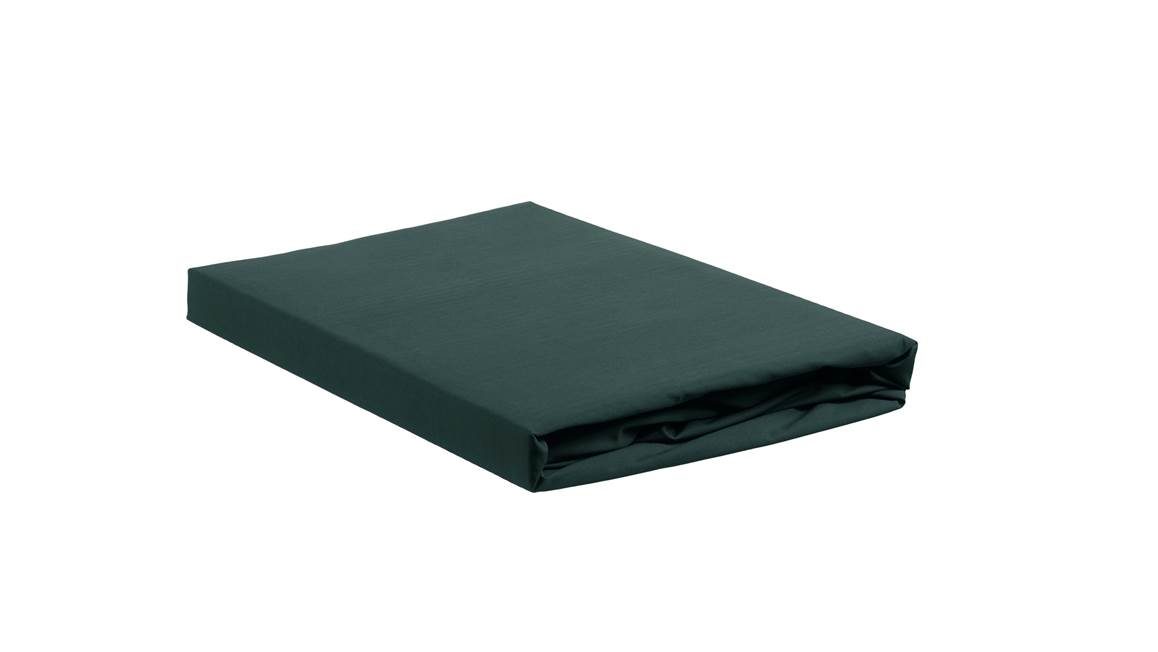 Ambiante drap-housse jersey