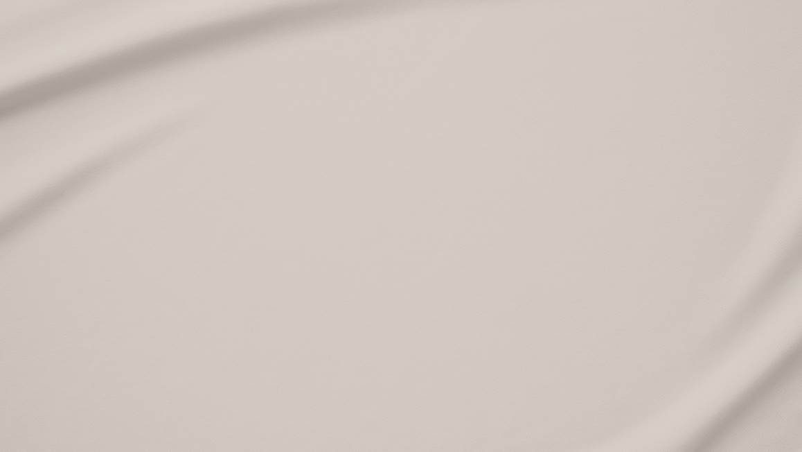 Snoozing taies d'oreiller coton 57 fils (lot de 2)