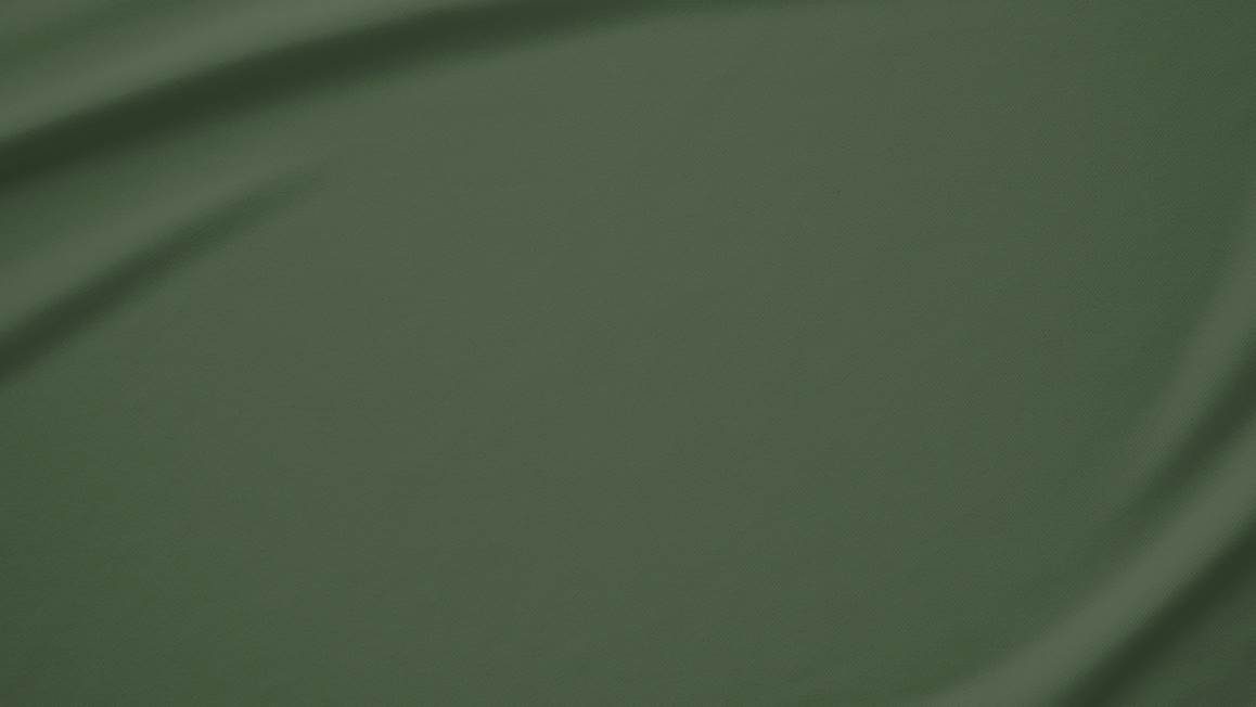 Snoozing taies d'oreiller coton 57 fils (lot de 2)