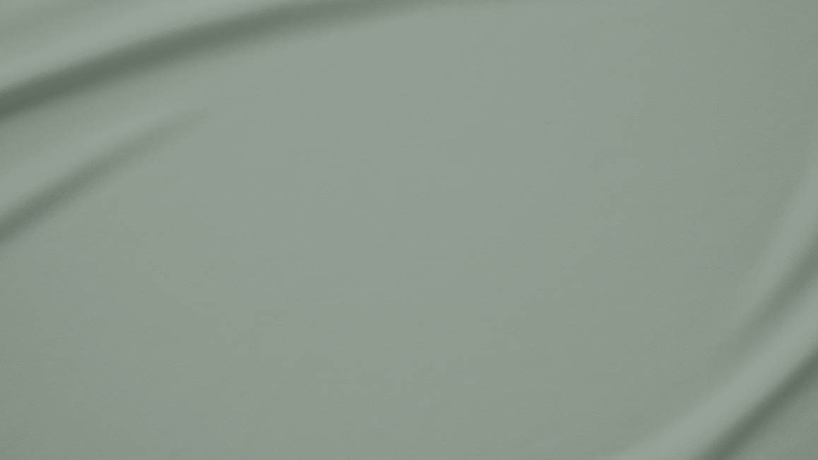 Snoozing taies d'oreiller coton 57 fils (lot de 2)