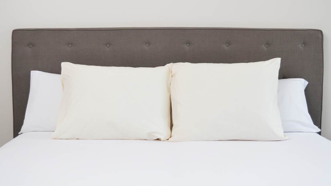 Snoozing taies d’oreiller percale (lot de 2)
