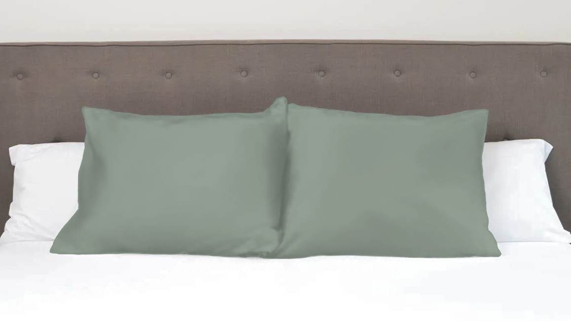Snoozing taies d'oreiller satin (lot de 2)