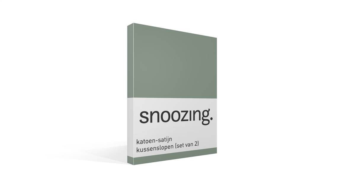 Snoozing taies d'oreiller satin (lot de 2)