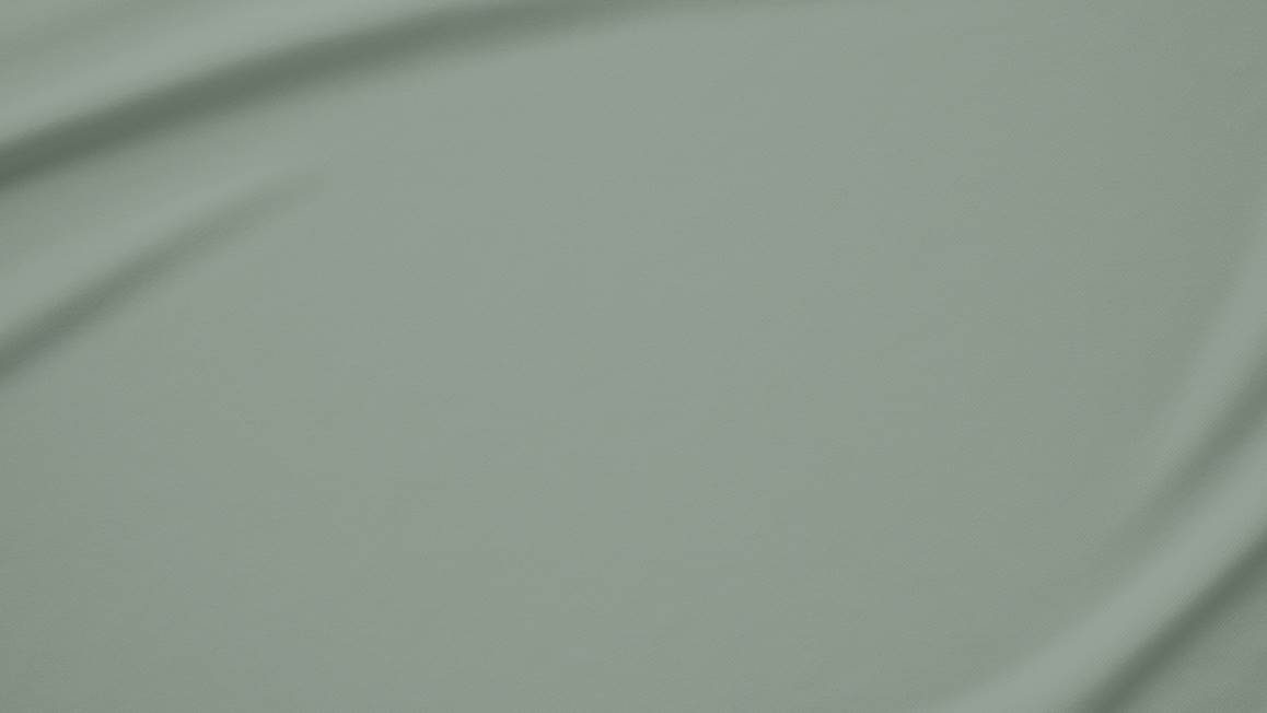 Snoozing taies d'oreiller satin (lot de 2)