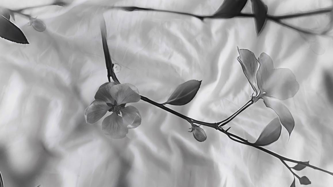 Heckettlane Berta housse de couette