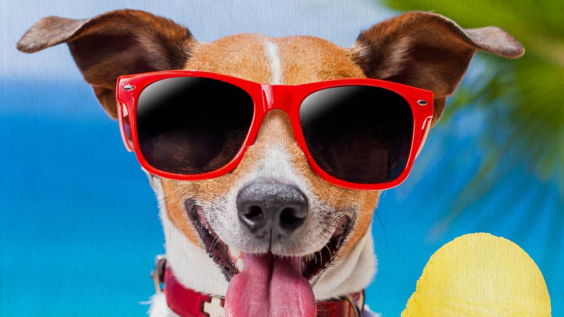 Good Morning Diesel serviette de plage