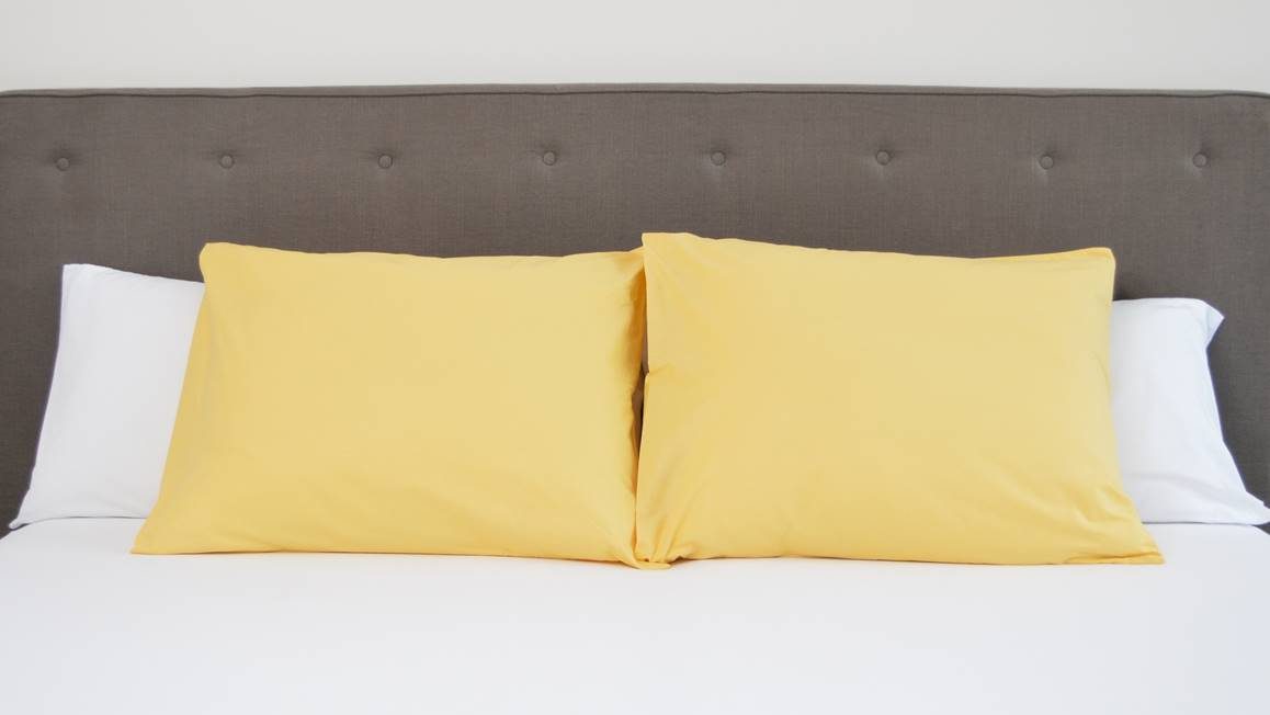 Snoozing taies d'oreiller coton 57 fils (lot de 2)