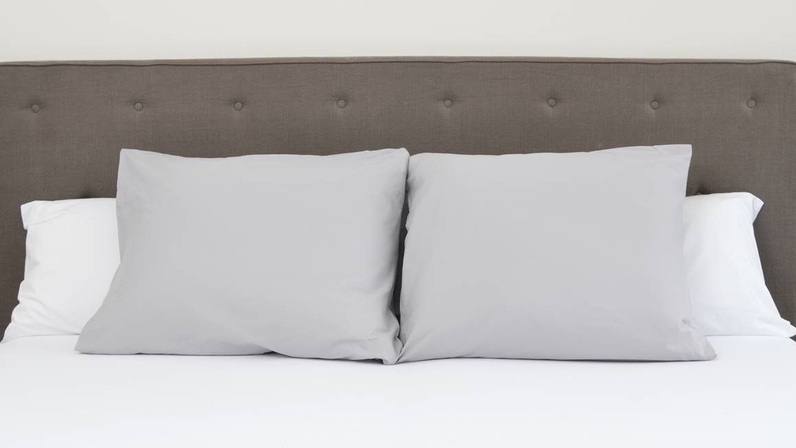 Snoozing taies d'oreiller coton 57 fils (lot de 2)