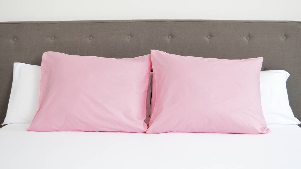 Snoozing taies d'oreiller coton 57 fils (lot de 2)