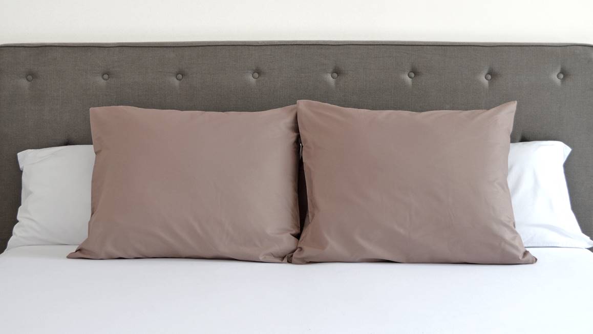 Snoozing taies d'oreiller coton 57 fils (lot de 2)