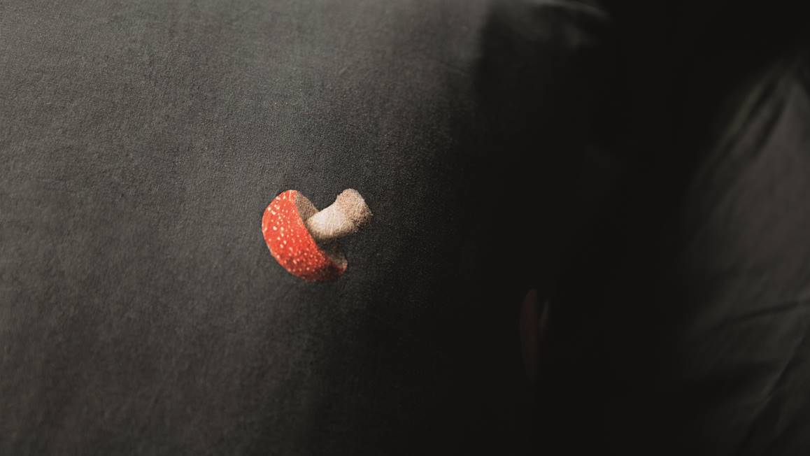 SNURK Mushrooms housse de couette en flanelle