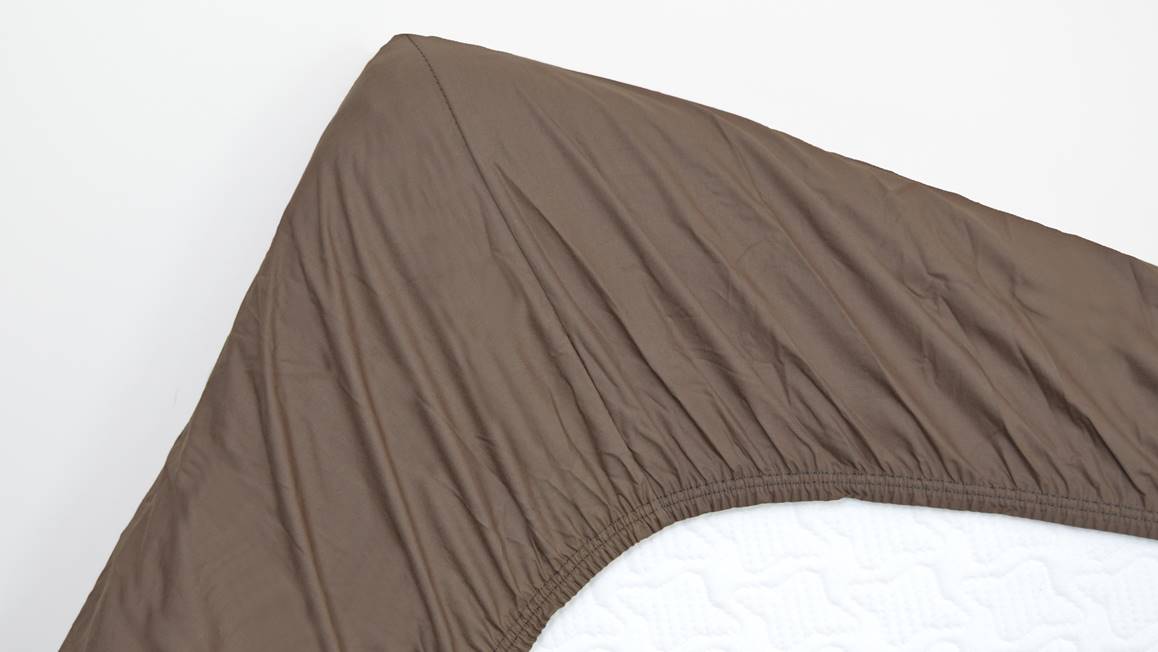 Snoozing drap-housse coton