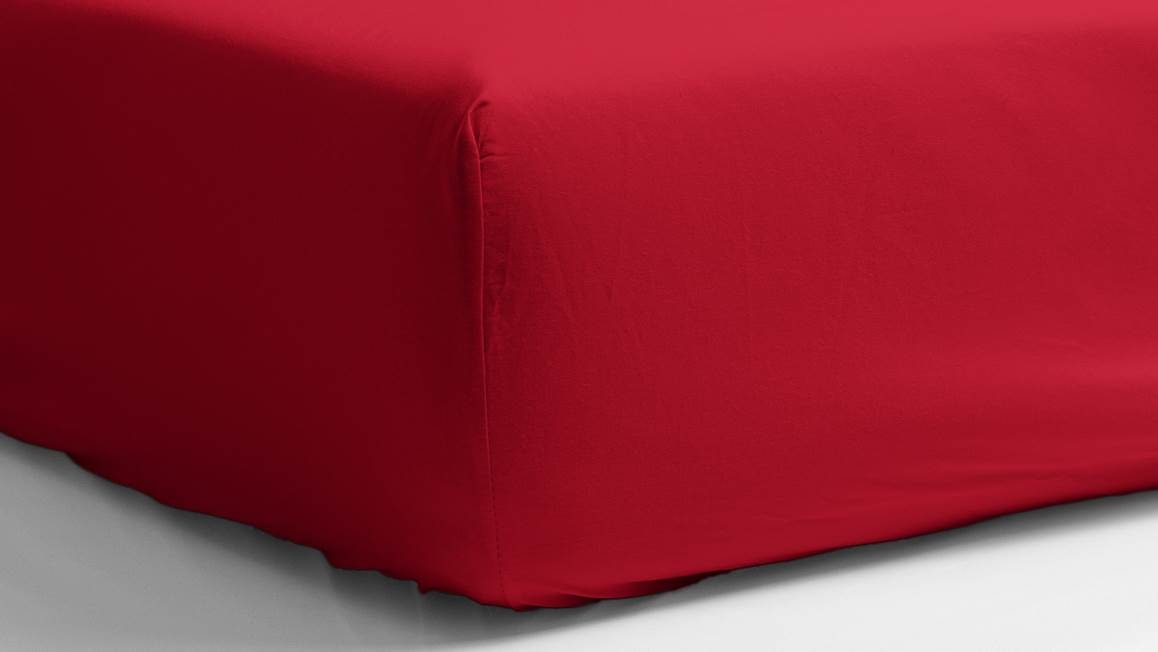 Snoozing drap-housse percale