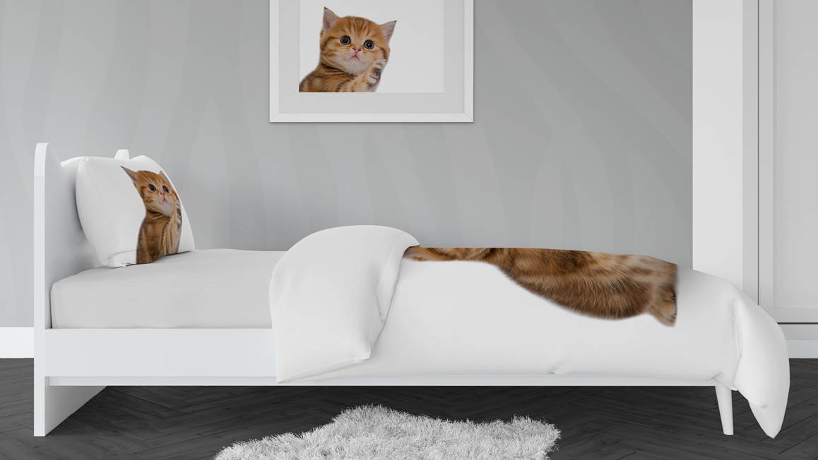 Snoozing Cats housse de couette