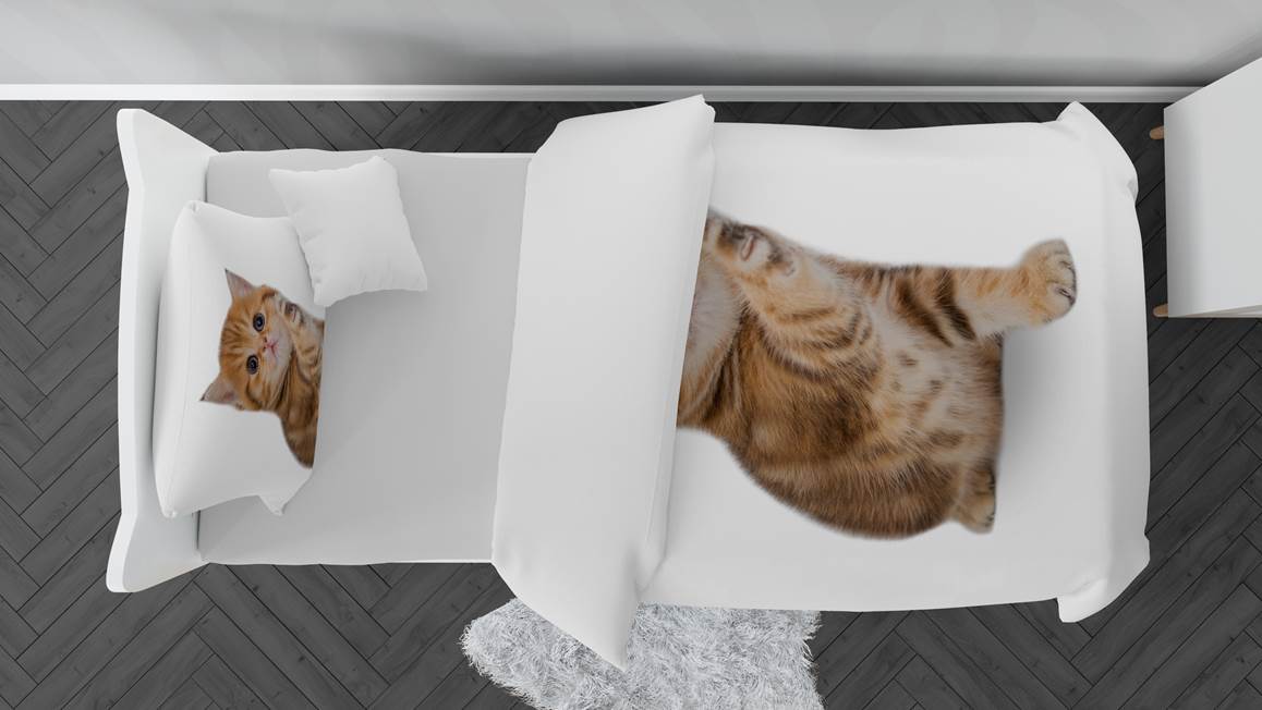 Snoozing Cats housse de couette