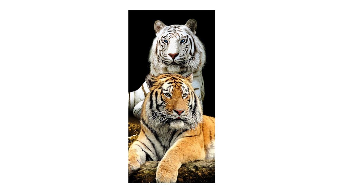 Two tiger serviette de plage