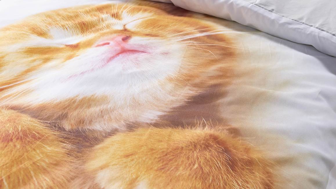 iSeng Chaton housse de couette