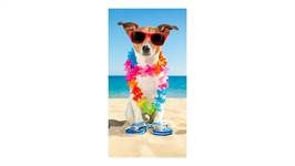 Good Morning Buddy serviette de plage