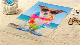 Good Morning Buddy serviette de plage