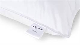 Cinderella Bamboo oreiller medium 
