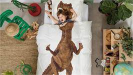 SNURK Dino Brown housse de couette