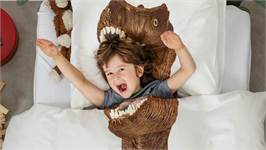 SNURK Dino Brown housse de couette