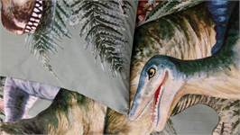 Snoozing Stégosaure housse de couette en flanelle