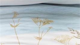 Beddinghouse Dunes housse de couette 