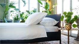 Kayori Daiki housse de couette