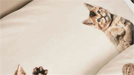 SNURK Kitten Friends housse de couette