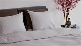 Snoozing Sade housse de couette