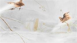 Marjolein Bastin Roi de l’Hiver housse de couette en flanelle