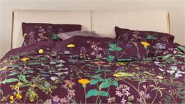 Essenza Augustina housse de couette