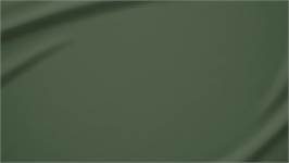 Snoozing taies d'oreiller flanelle (lot de 2)