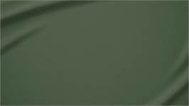 Snoozing taies d'oreiller satin (lot de 2)