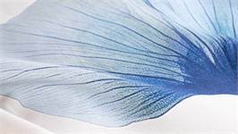 Essenza Kati housse de couette