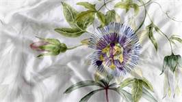 Heckettlane Anula housse de couette